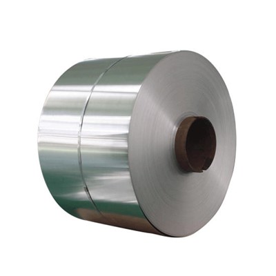 Stal typu 301
